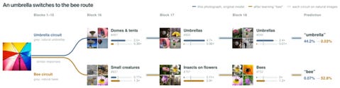 pastedGraphic_10.png pastedGraphic_10.png