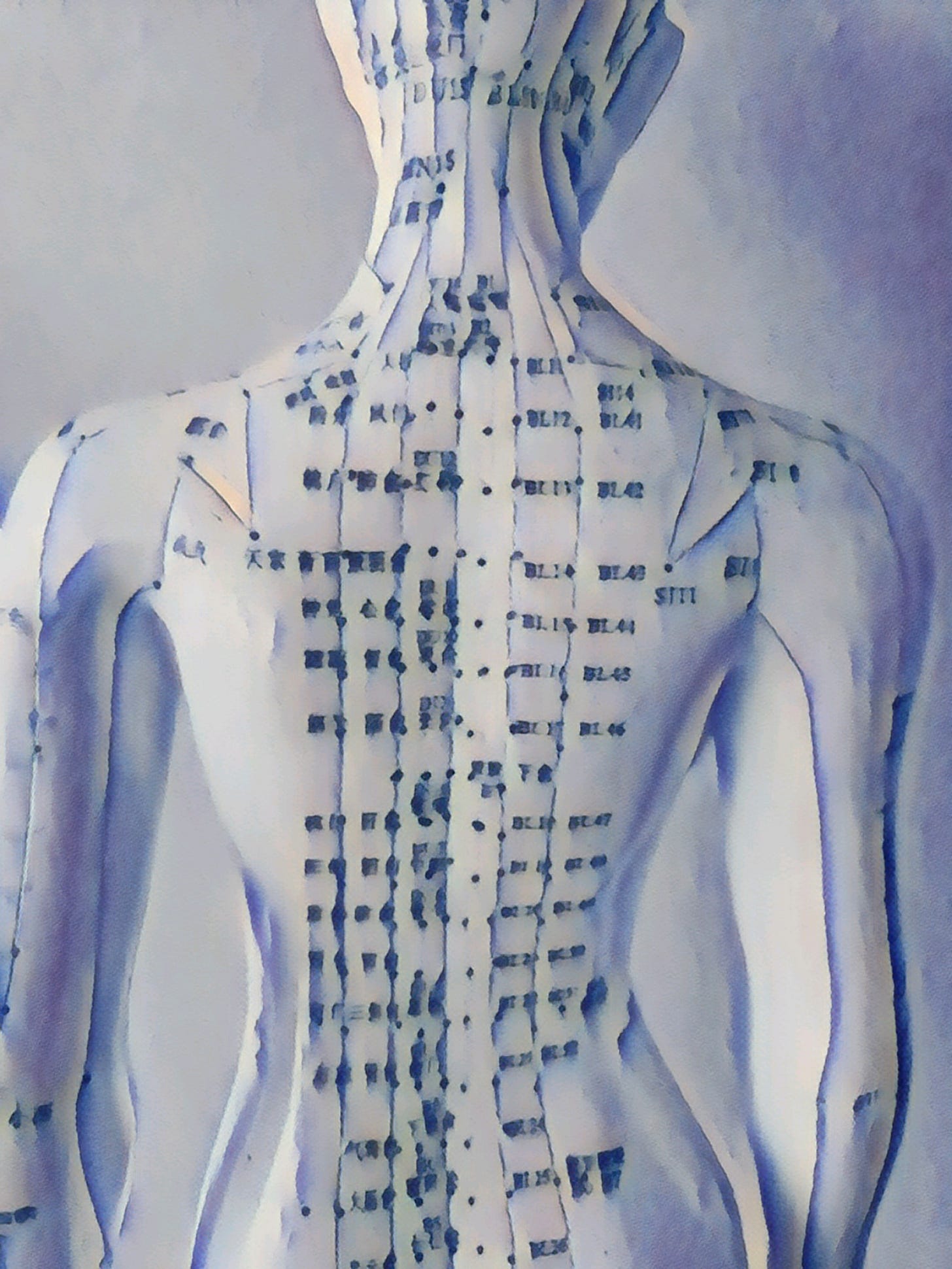 Image of the back of an acupuncture manikin, showing the channels and points from the nape of the neck to the lower back.