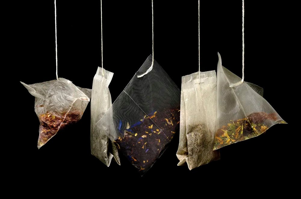 Scientists find DNA from 1,200 different insect species in tea. Here's why  that's actually a good sign