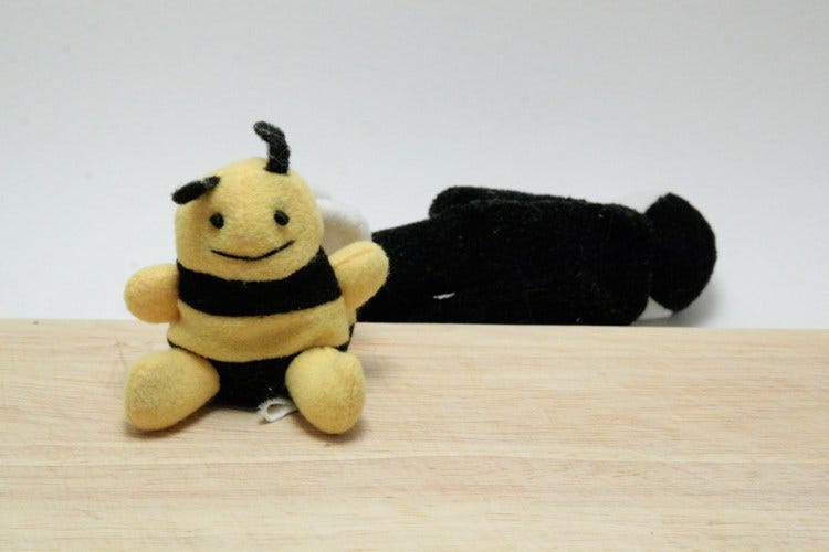 Kitty Litter Cornbread Bee Harvey Kitty Litter Cornbread Bee Harvey