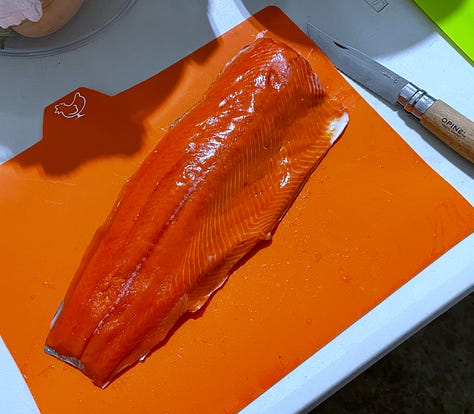 Photos of a woman writing in a waterproof notebook, picking sockeye salmon out of a gill net, and fishing for salmon in Alaska