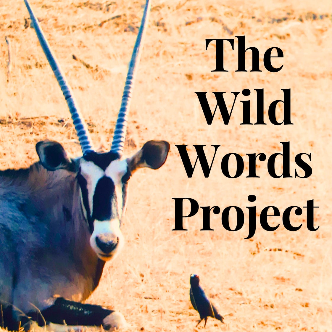 The Wild Words Project