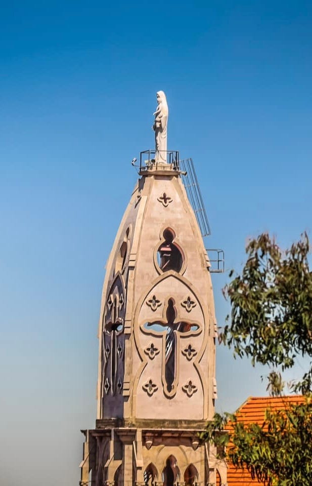 IMG_9537.jpeg IMG_9537.jpeg