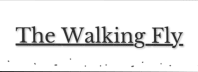 The Walking Fly