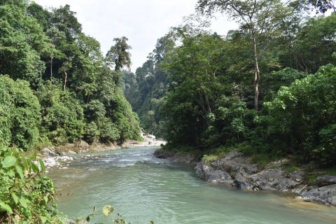 A little upriver from Jungle Inn. The water is as cool as it looks. Photo: Stuart McDonald A little upriver from Jungle Inn. The water is as cool as it looks. Photo: Stuart McDonald