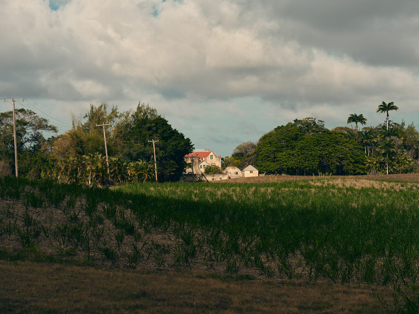In operation since the 1640s, Drax Hall was central to the perfection of slave-plantation efficiency and exporting that system to other islands as well as the American south. (Christopher Gregory-Rivera for TIME)
