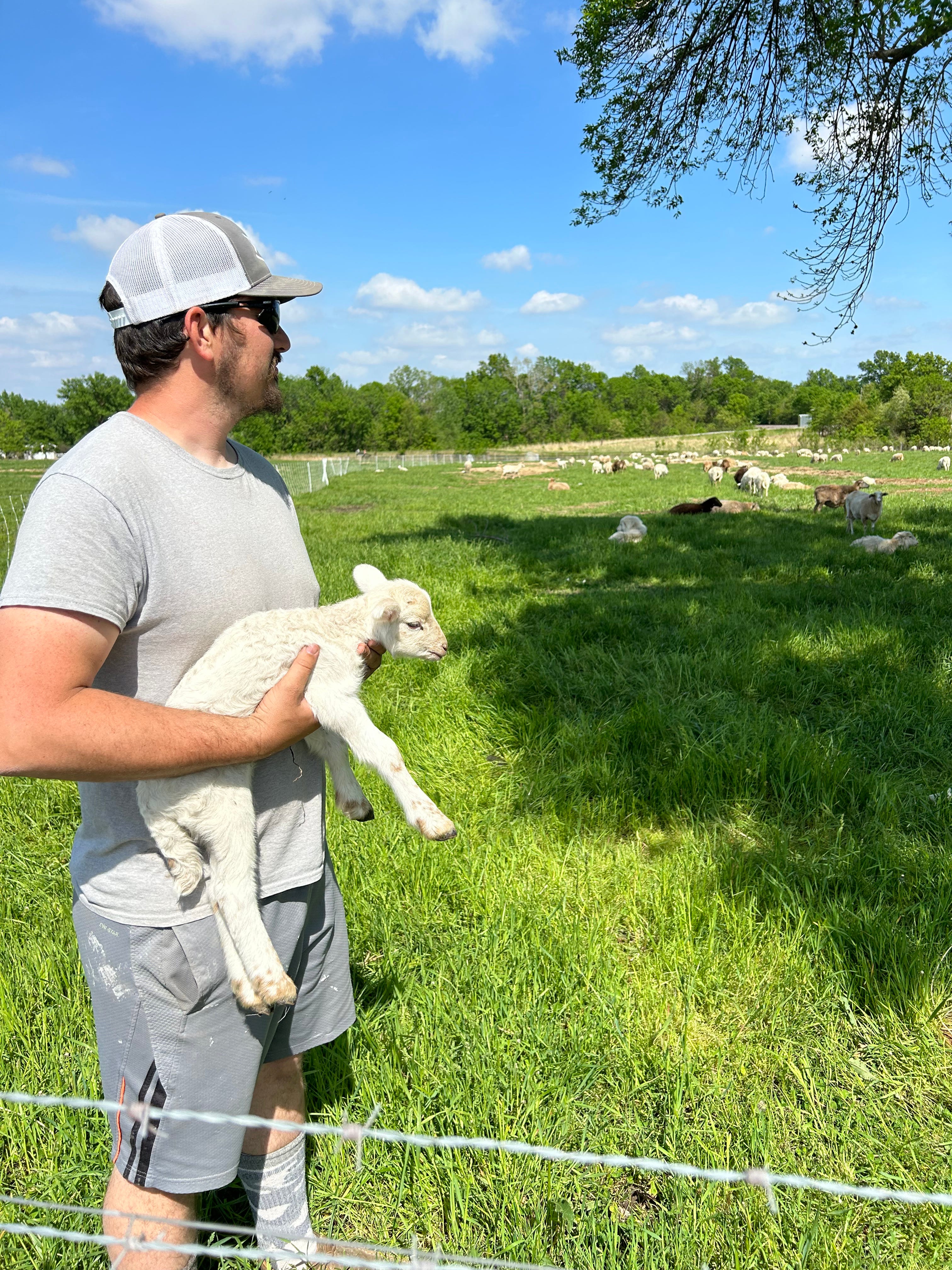 Lessons from the Land