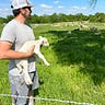 Lessons from the Land