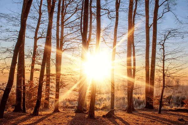 Sunlight Animated GIF Photoshop Action, Add-ons | GraphicRiver