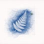 Diana Grant-Richmond's avatar