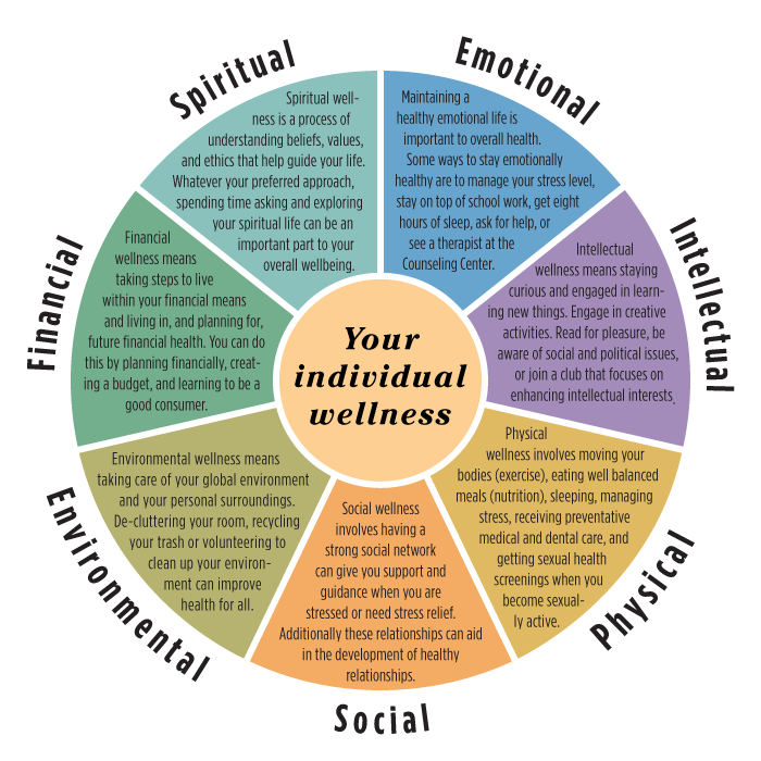 Wellness Wheel Wellness Wheel