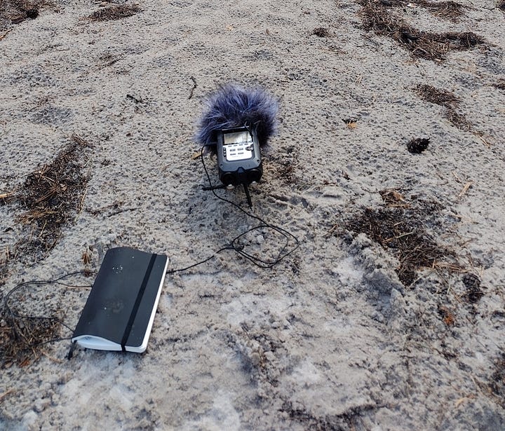 Sound recording in the forest.