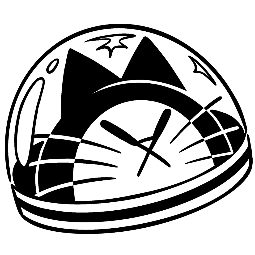 The First Cat in Space 