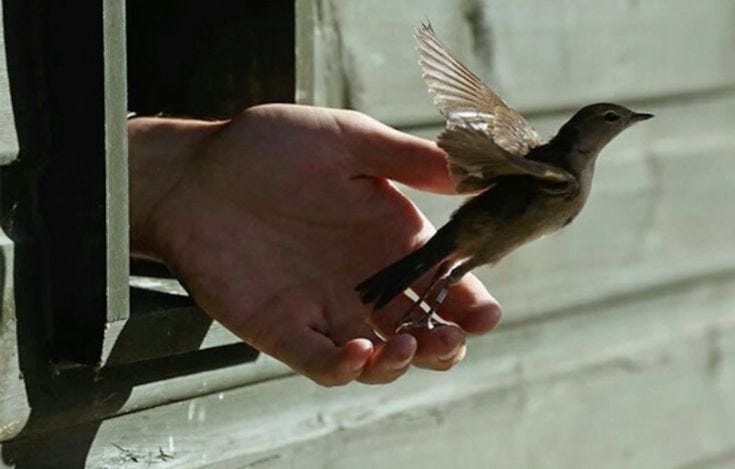 Thumbnail of i know love is real because he always cuts the nails on my right hand