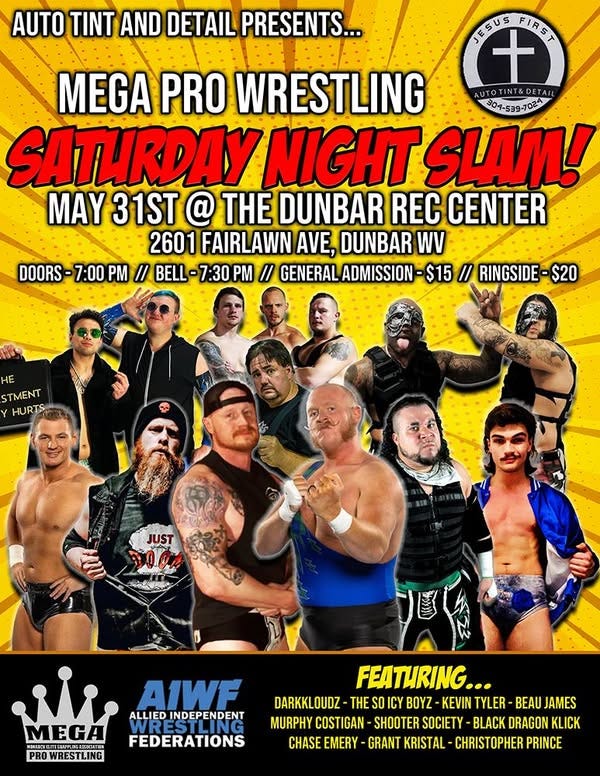 Mega Pro Wrestling