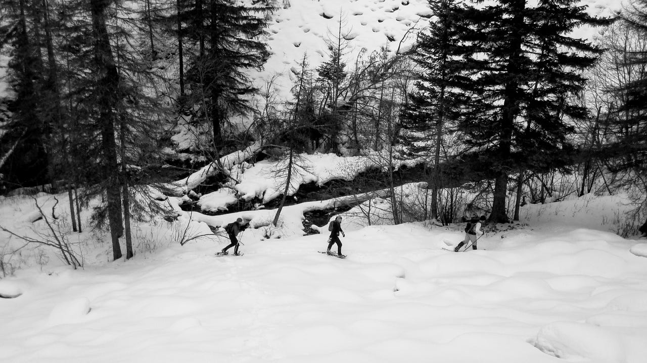 Welcome Creek Snowshoe