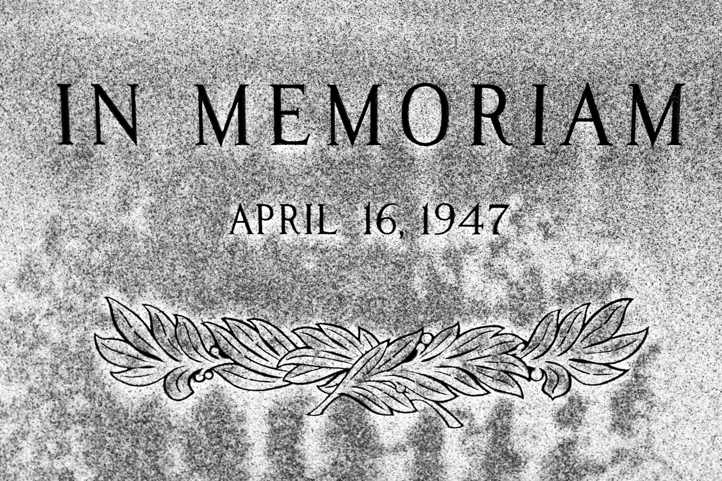 My First Interview - by Glenn Cook - Our Reality Show