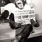Space Chimp Lives's avatar