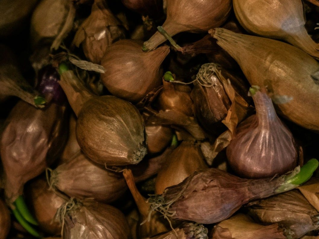 a pile of beets