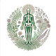 Autoimmune in Practice