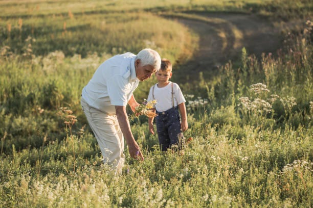 1,100+ Farmer With Grandson In Field Stock Photos, Pictures & Royalty-Free  Images - iStock