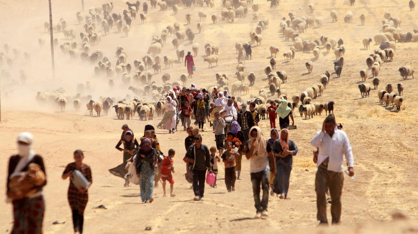 Reality and Rhetorics Behind The Threat Perception From Climate Migration |  Diplomatist