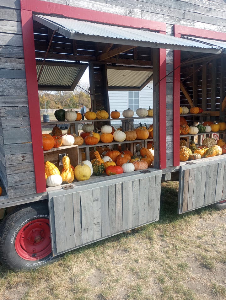 Road side stand with pumpkins