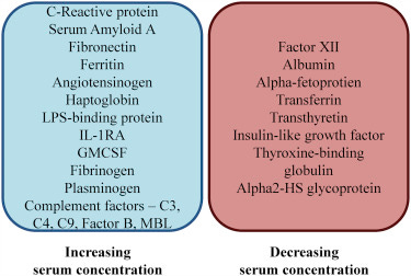 Acute Phase Protein - an overview | ScienceDirect Topics