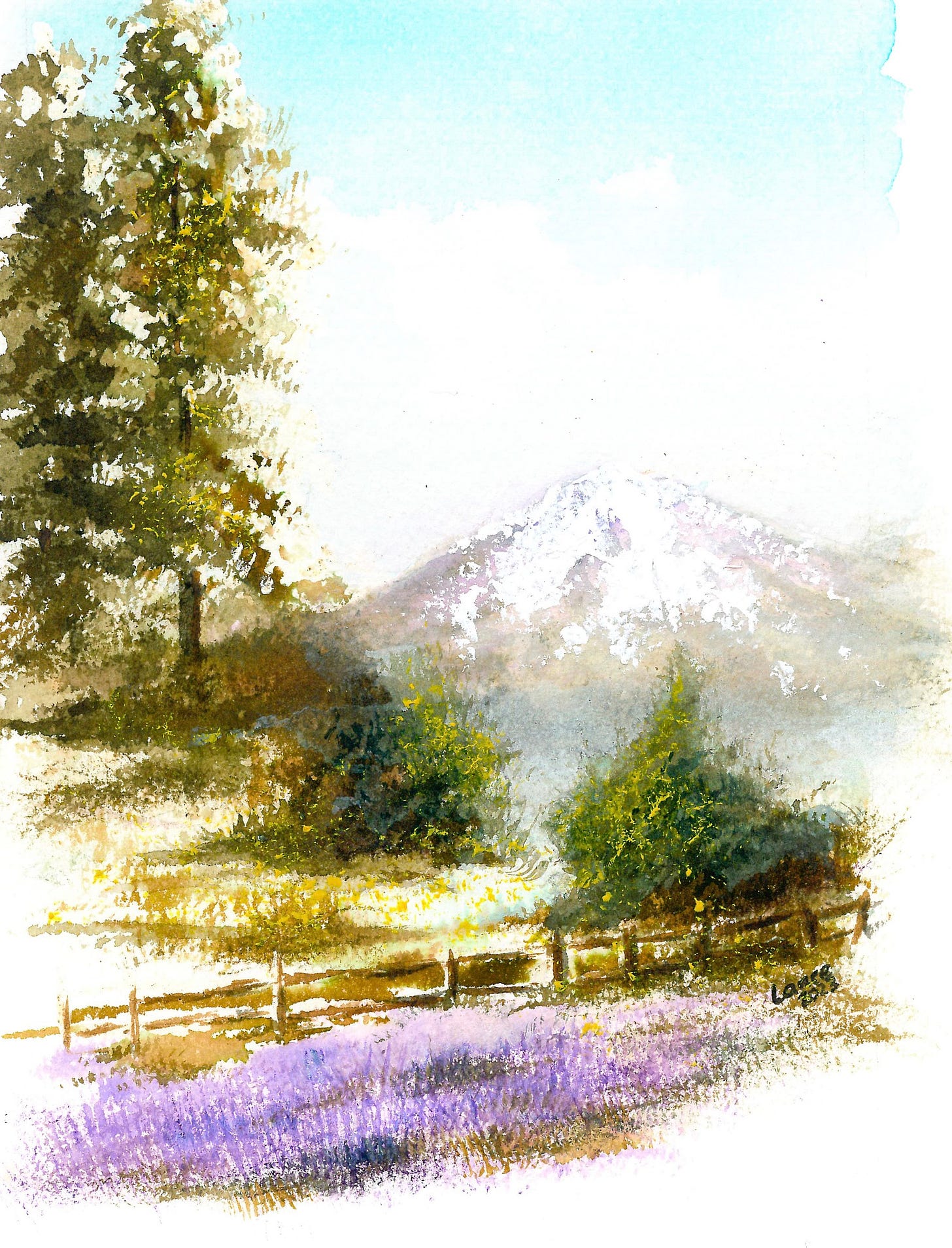 Original watercolor and ink by Lance Hastings. Split rail fence divides a lavender field and a cluster of several different species of trees, with snow-capped purple-hued mountains in background.