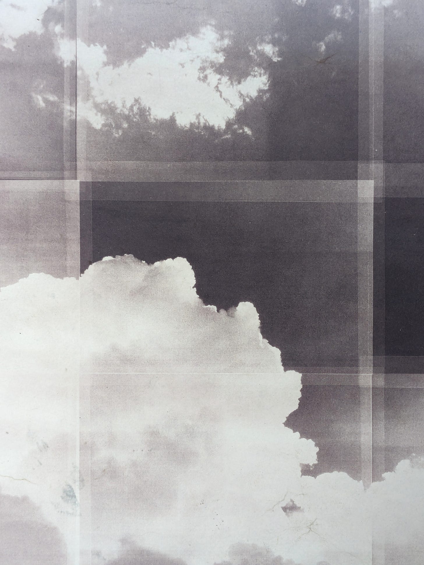 green tea toned cyanotype