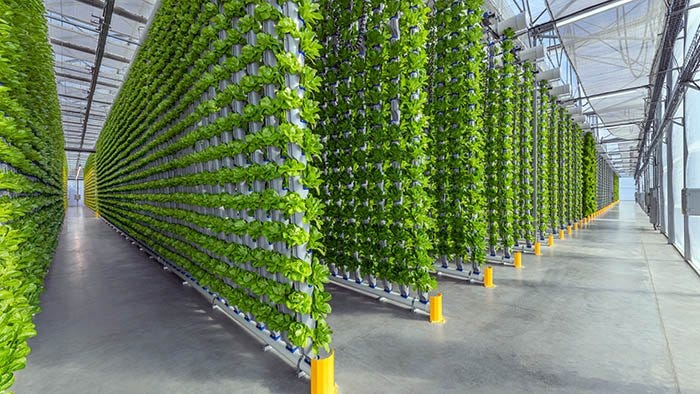Is Vertical Farming Profitable? A Comprehensive Analysis | Eden Green