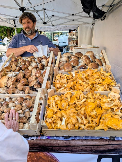 Porcini Festival