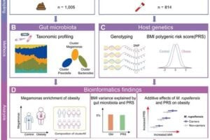 Figure S1. Study design, data analysis and experimental strategy for linking the human gut microbiota, genetics, and obesity. Related to STAR Methods. (A) Basic information of a Chinese obese cohort (n = 1,005). (B) Shotgun metagenomic sequencing and taxonomic profiling analysis on 1,005 collected fecal samples. (C) Whole genome sequencing conducted on 814 collected blood samples, and the calculation of polygenic risk score (PRS) for BMI based on BMI-associated common variants. (D) Identification of obesity-enriched microbial taxa, and assessment of the impacts of gut microbiota and host genetics on obesity. (E) Experimental design of functional examination of M. rupellensis and E. coli with heterologous expression of a myo-inositol-degrading enzyme in vitro and in vivo.