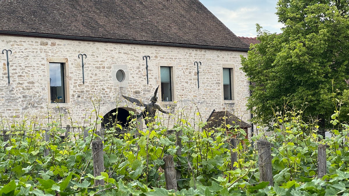 Domaine de la ROMANÉE-CONTI (Vosne-Romanée) -- 2022 Tasted from Bottle