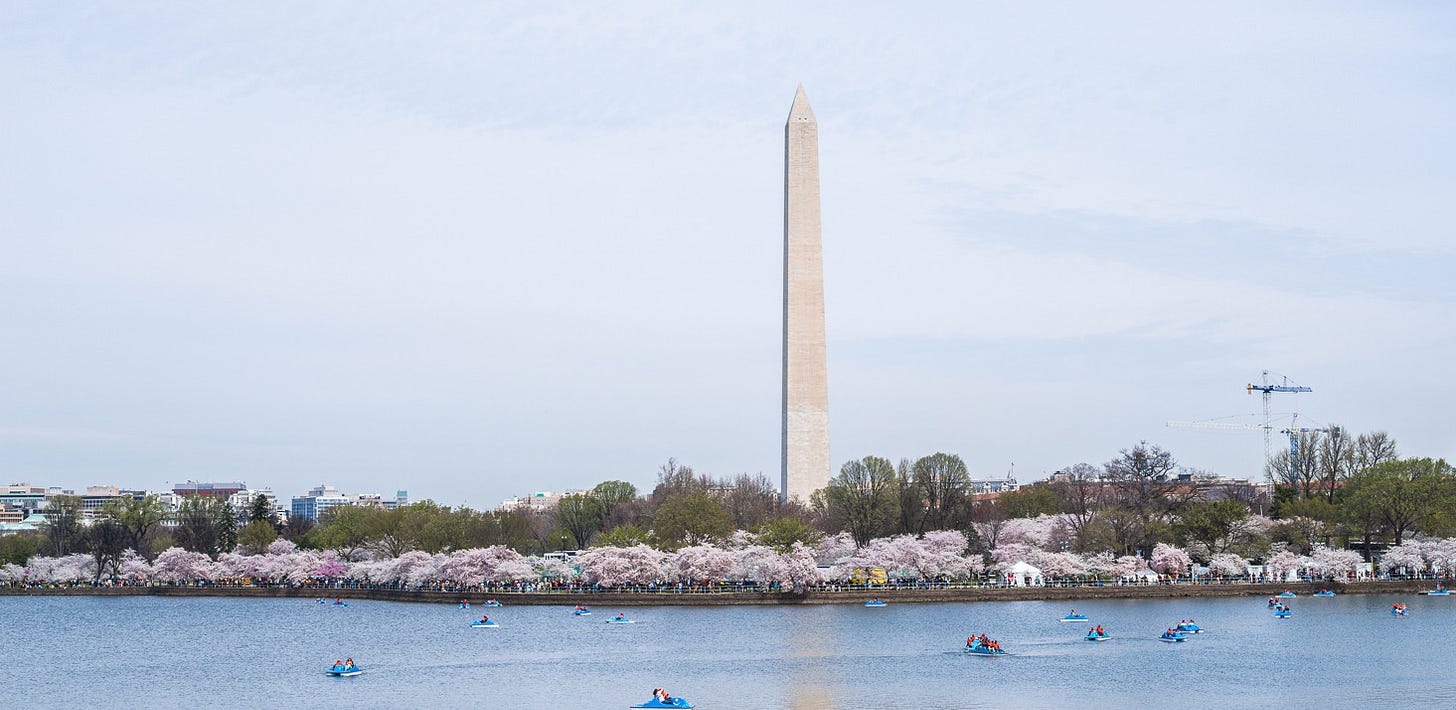 A tall pointy monument abover a walkway with pink flowering trees and water filled with small boats.