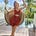 Alice Little's avatar