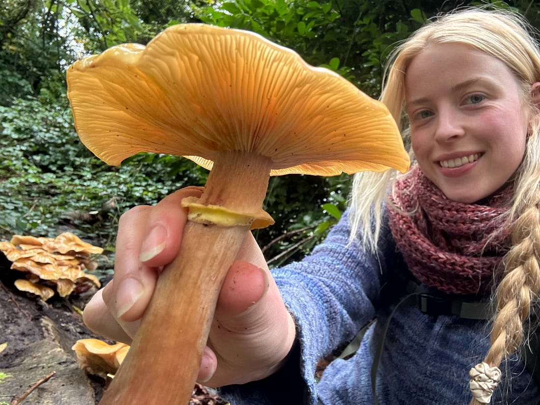 The Online Right Doesn’t Want White Women to Get PhDs