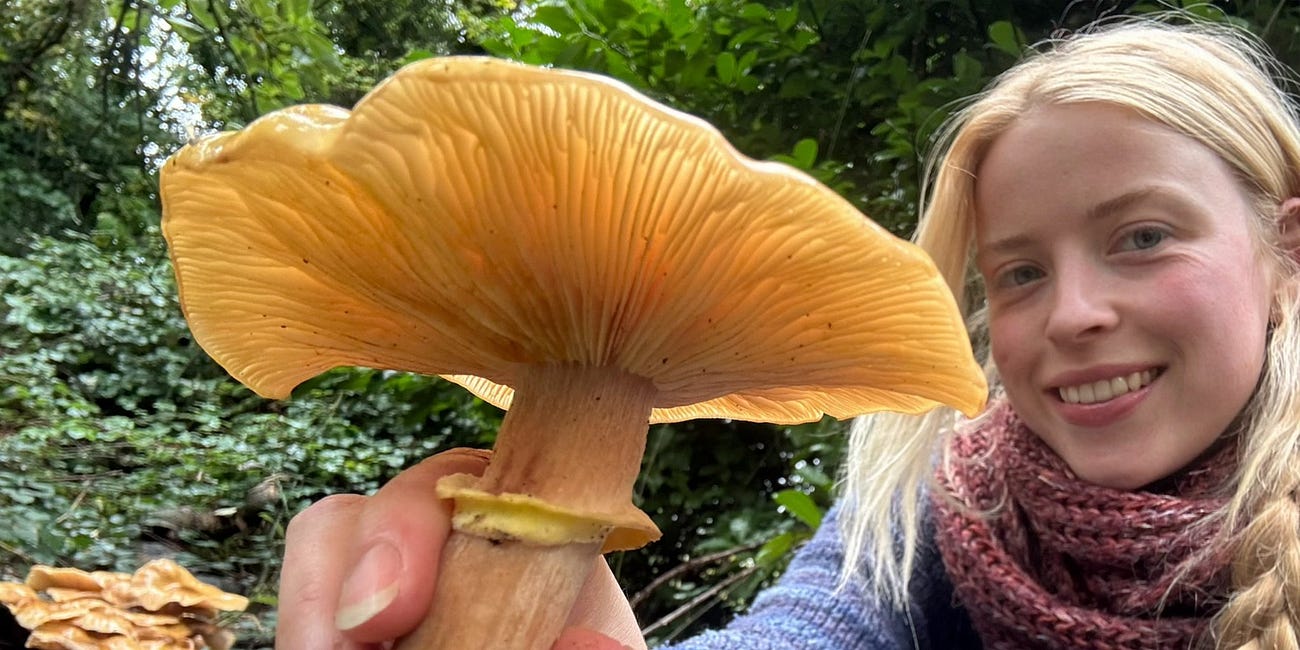 The Online Right Doesn’t Want White Women to Get PhDs