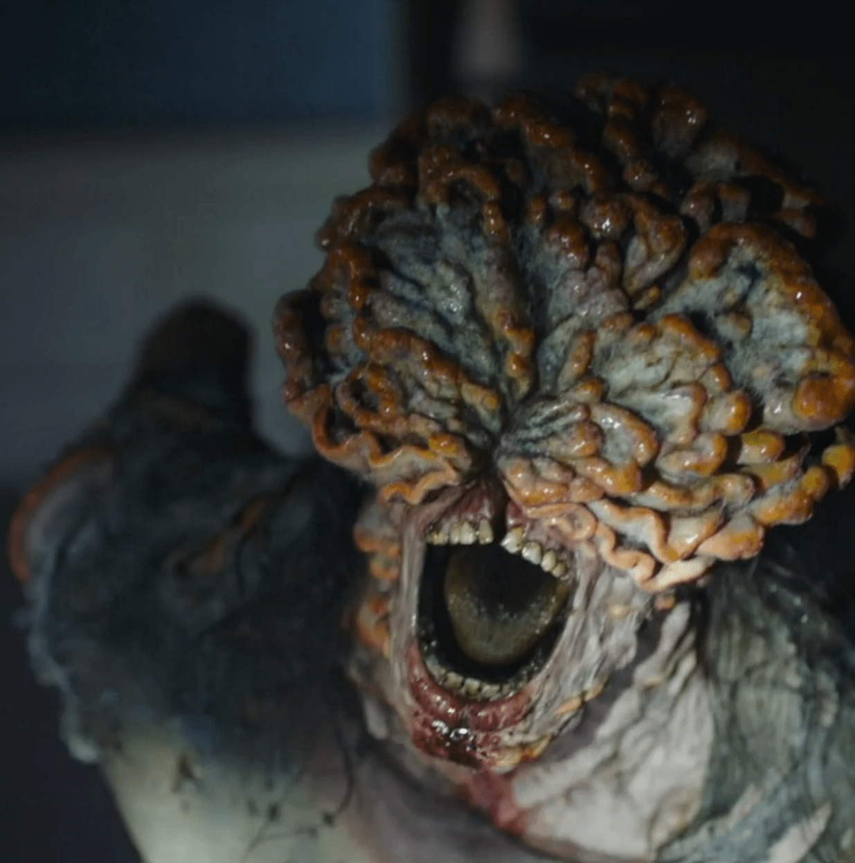 HBO's The Last of Us: Every type of infected zombie | Polygon