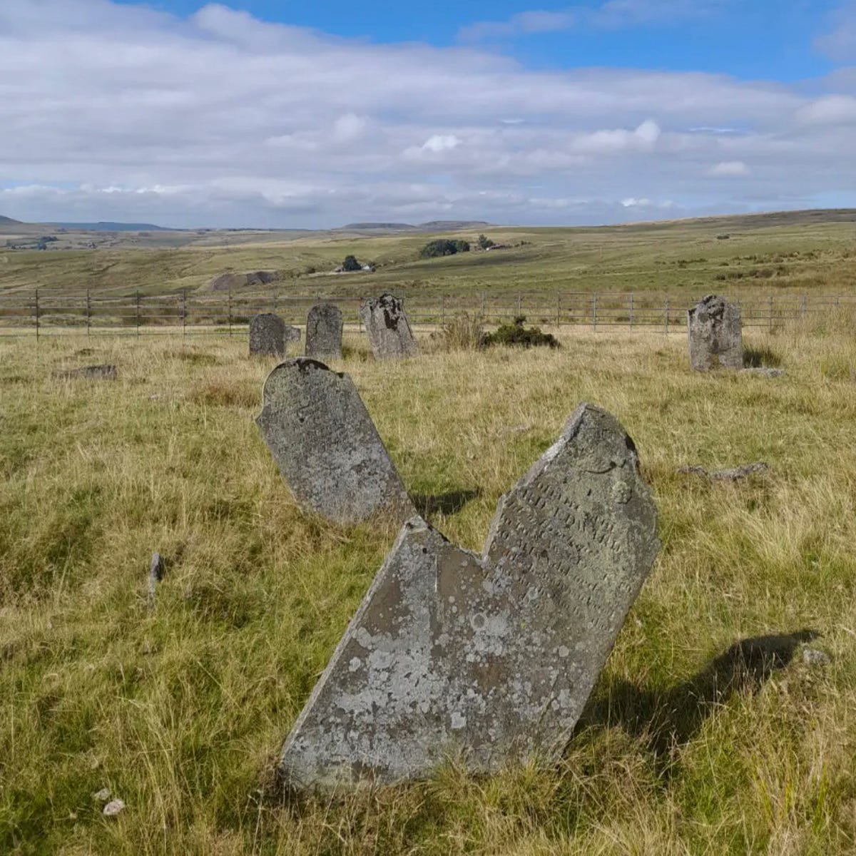 several gracestones in a field several gracestones in a field
