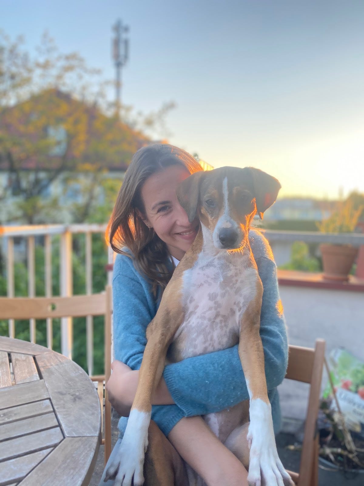 Annual Review 2021: writing, running and breaking through with our dog