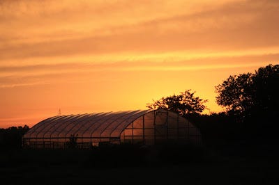 high tunnel and sunset