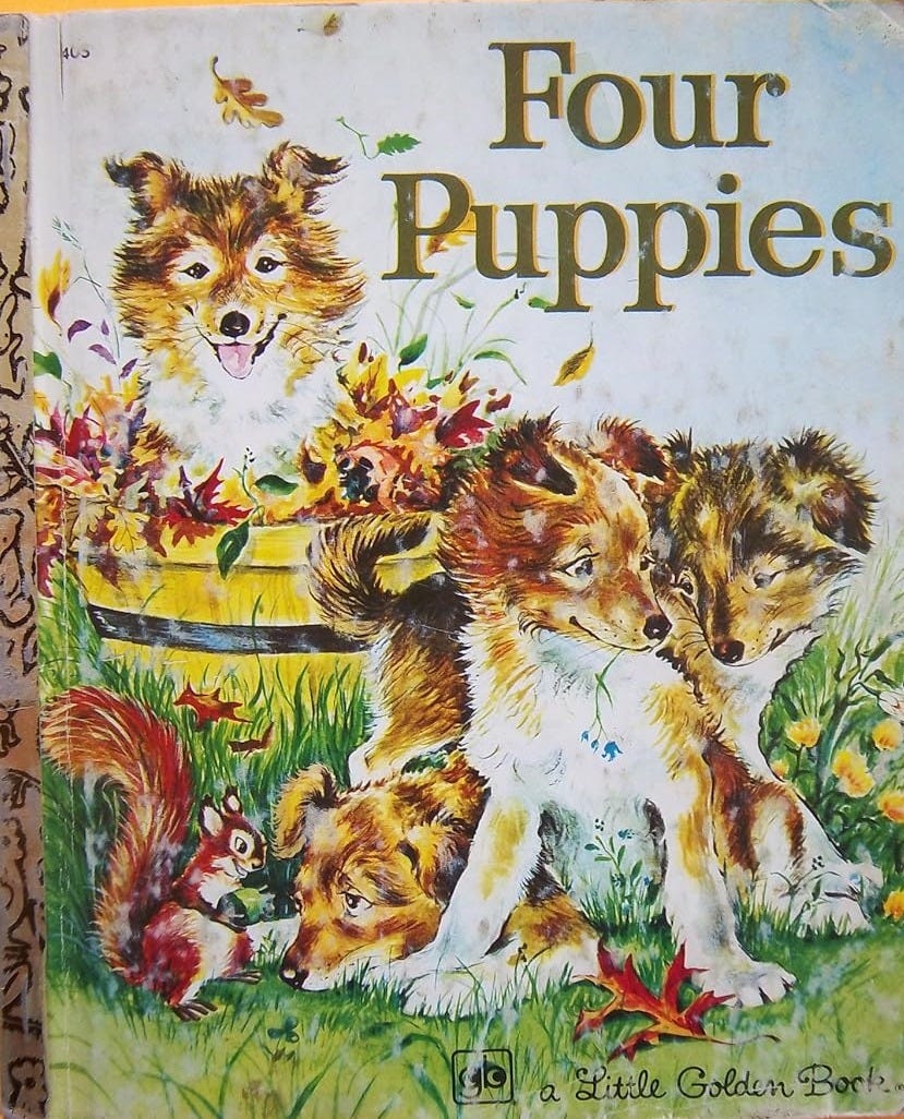 Four Puppies: Heathers, Anne: 9780307614056: Amazon.com: Books Four Puppies: Heathers, Anne: 9780307614056: Amazon.com: Books