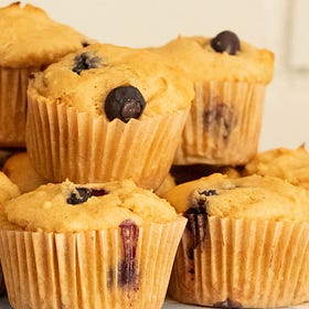 Gluten Free Blueberry Protein Muffins