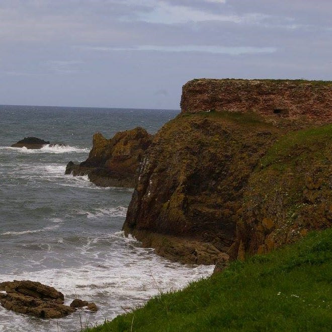 Artwork for Androids and Dragons