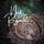 Nest Regards