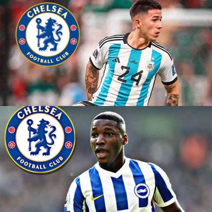 Moisés Caicedo Stats vs Enzo Fernández – Is He a Good Alternative for  Chelsea? | Sports Adonai | Latest Football News, Articles & Transfers