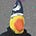 somewheresy's avatar