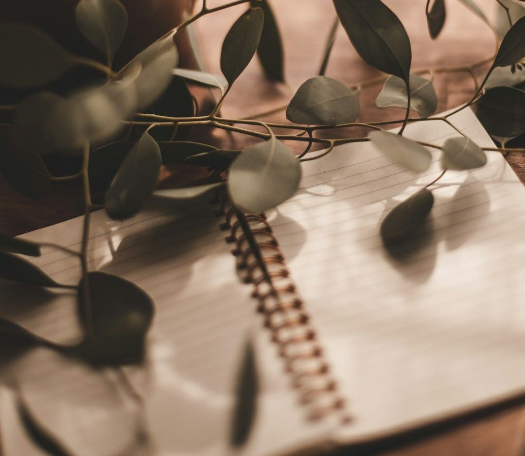 green plant on brown wooden table