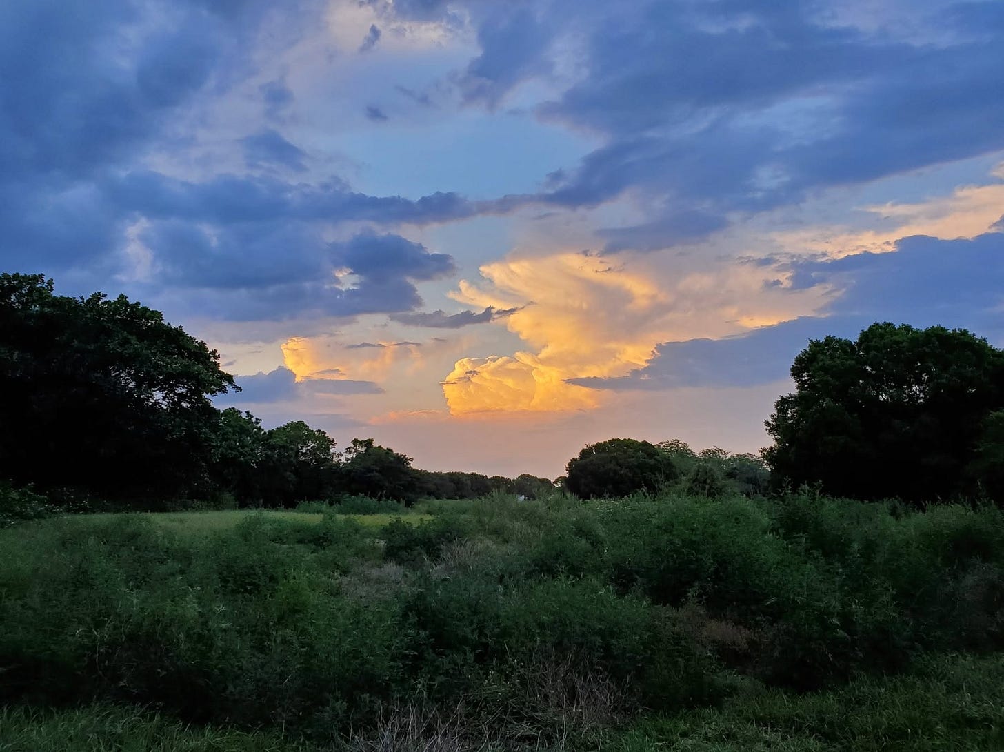 Port Malabar Country Club Golf Course: Before Development